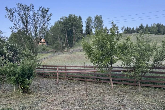 In the mountains of Bukovina, the temperature in mid-June dropped to zero