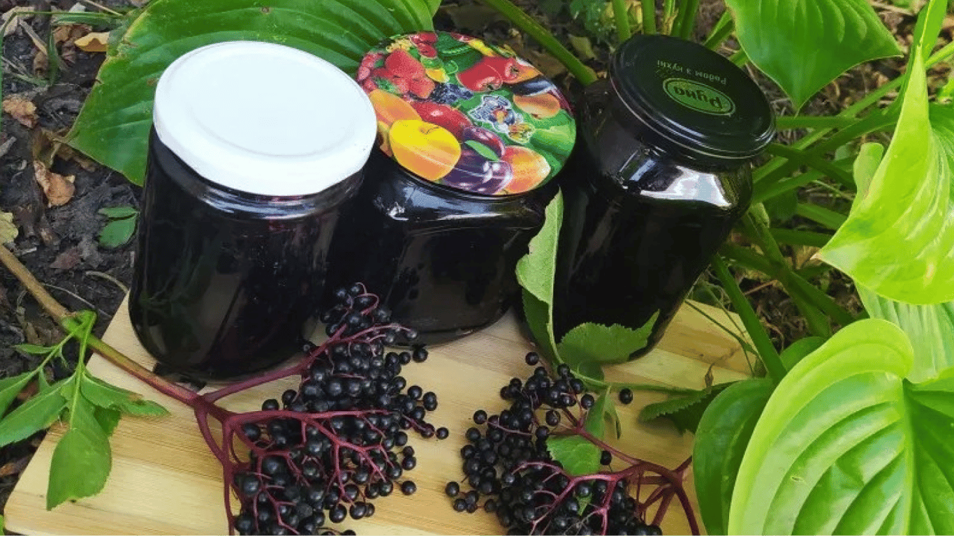 Heidelbeerkonfitüre - Rezept für einen gesunden Vorrat