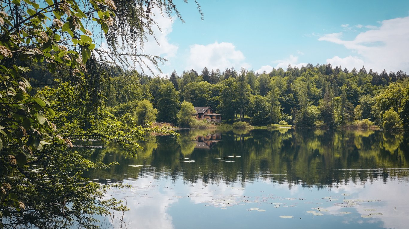 An Alternative to the Sea — Lakes in Volyn Where You Can Refresh Yourself