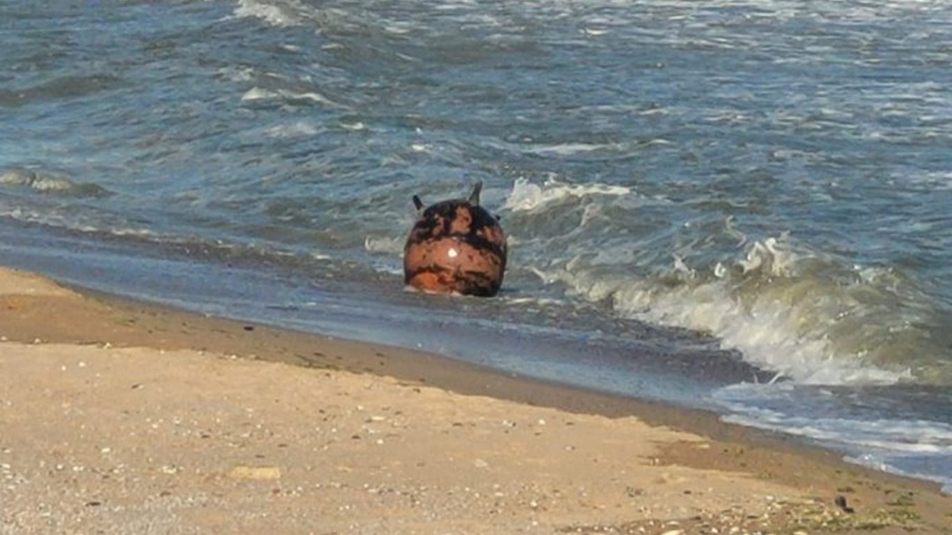 Опасное море — при купании стоит смотреть по сторонам