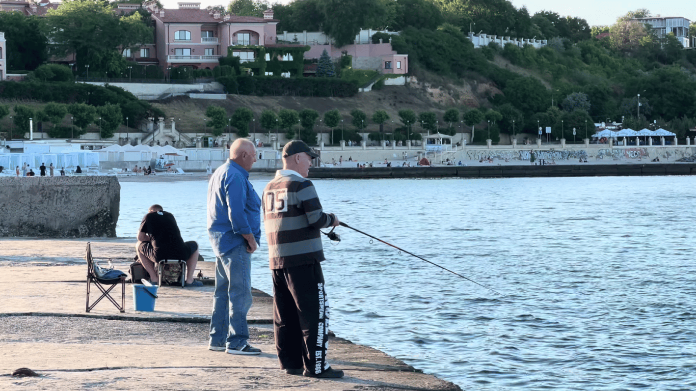 Ökologe erklärt, ob man Meeresfrüchte aus dem Schwarzen Meer essen sollte